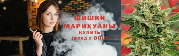 мдпв Новодвинск