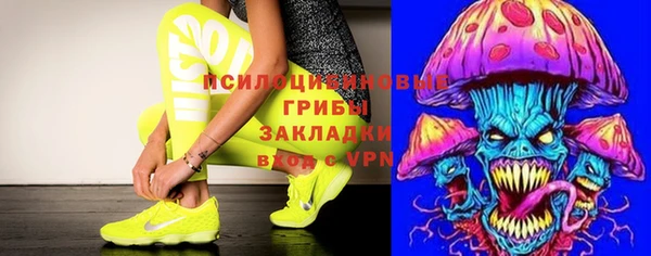 гашиш Новокубанск