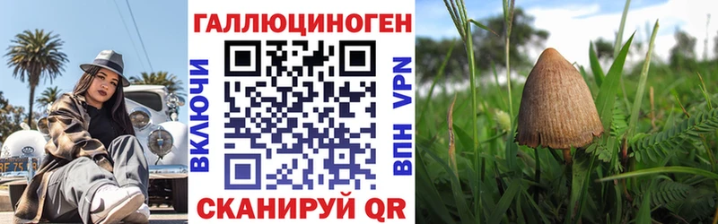 Галлюциногенные грибы Psilocybe Луга