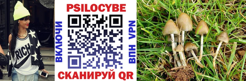сайты даркнета как зайти  Луга  Галлюциногенные грибы прущие грибы 
