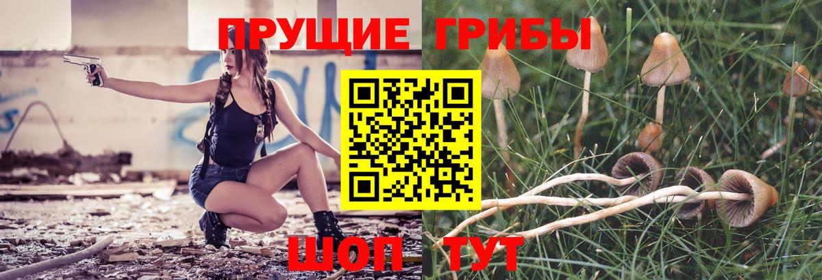 Псилоцибиновые грибы мухоморы  Вход с VPN  Луга 