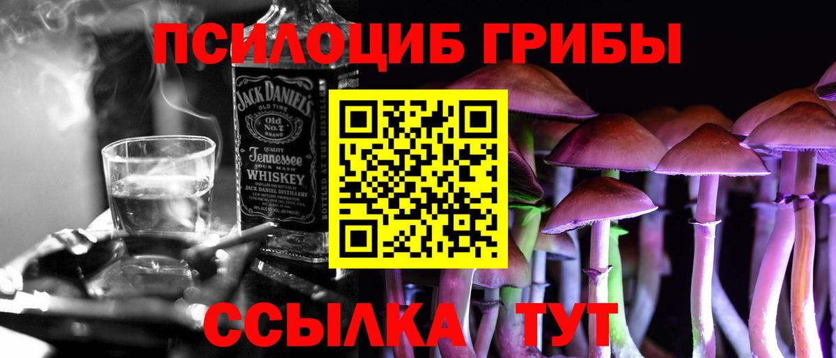 даркнет сайт  Луга  Псилоцибиновые грибы Psilocybe  Псилоцибиновые грибы GOLDEN TEACHER 