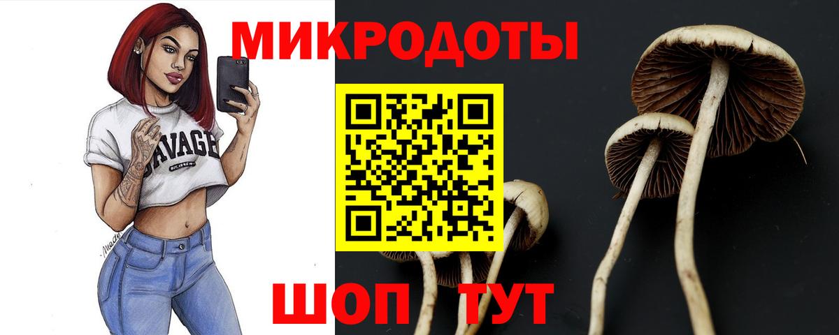 Галлюциногенные грибы мухоморы Луга