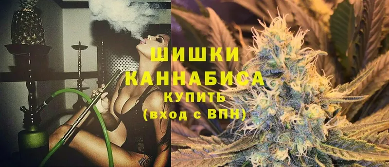 Бошки марихуана OG Kush  закладки  Луга 