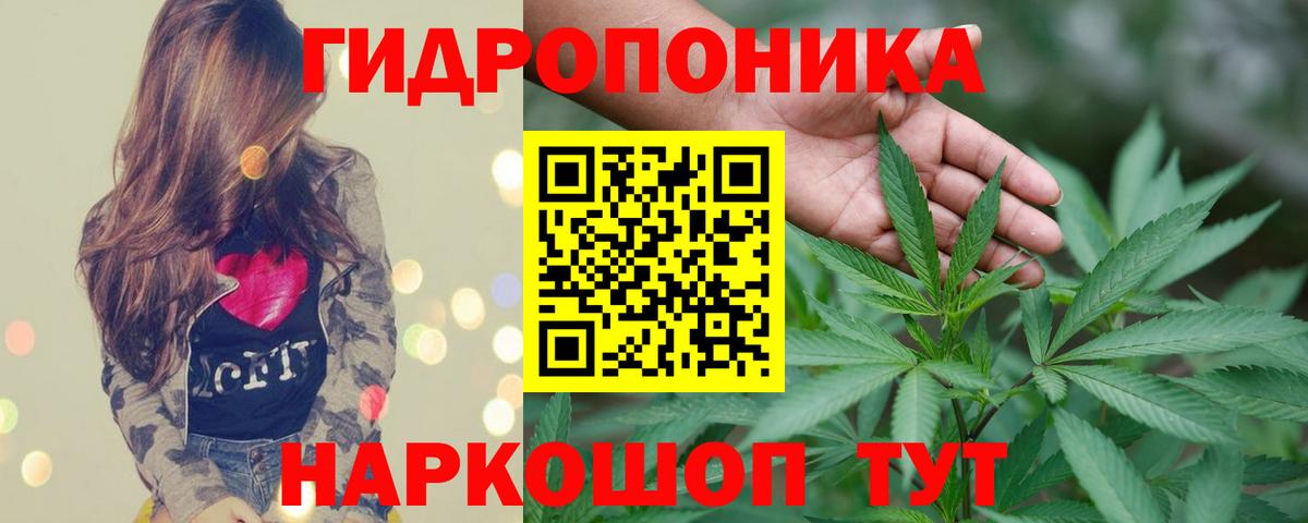 Бошки марихуана семена Луга